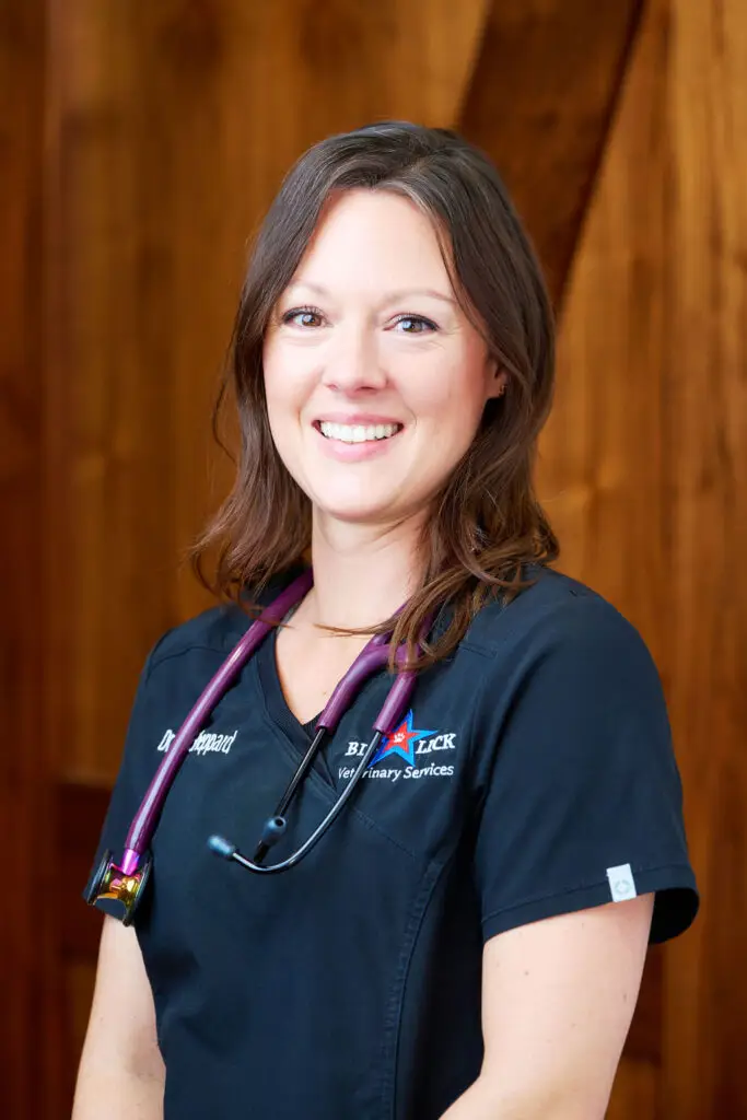 Dr. Erin Sheppard of Big Lick Veterinary Services in Roanoke, VA