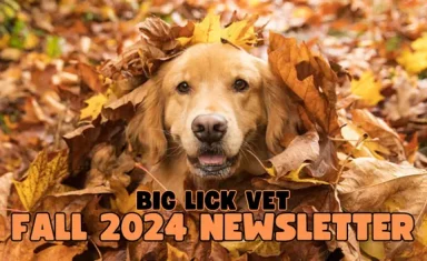 Big Lick Vet Fall 2024 Newsletter