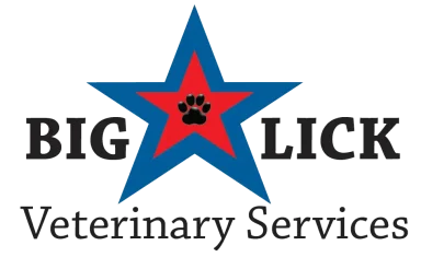 BigLickLogoTransparent