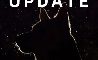 Mysterious-Illness-Image