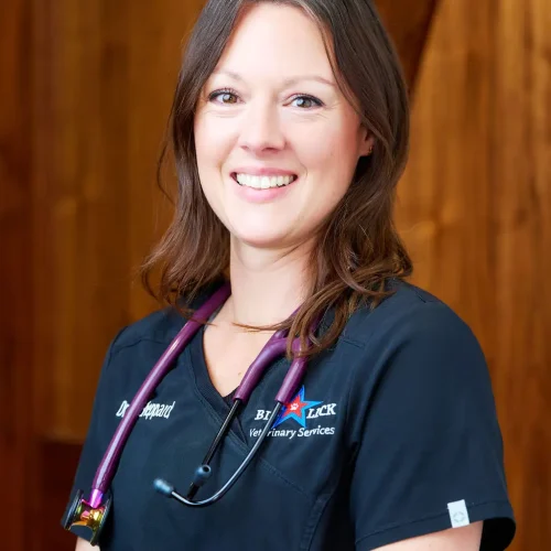 Dr. Erin Sheppard of Big Lick Veterinary Services in Roanoke, VA