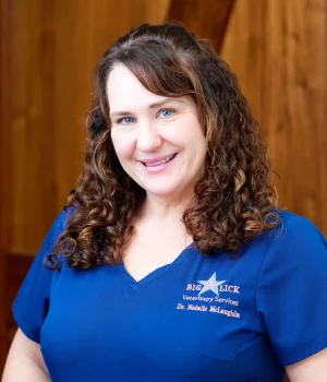 Dr. Natalie McLaughlin of Big Lick Veterinary Services in Roanoke, VA