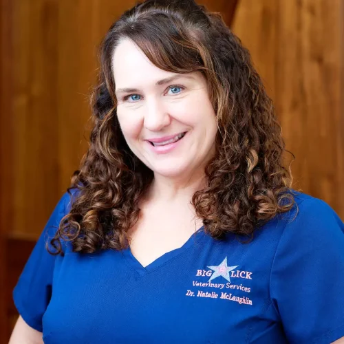Dr. Natalie McLaughlin of Big Lick Veterinary Services in Roanoke, VA